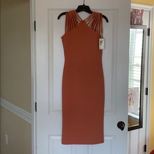 Dress the Population Dress